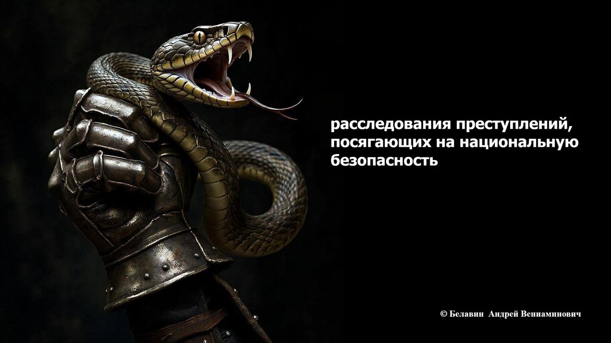 Занятие с молодёжью города Москвы на тему: «Расследования преступлений, посягающих на национальную безопасность»